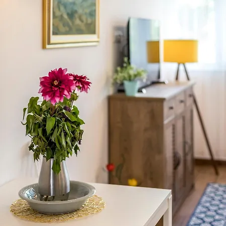 Comfort Apartment *